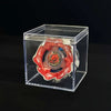 A Valkyrie Volt S4-70V metal spinning top with launcher displayed inside a clear plastic box.