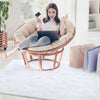 Plush Shaggy Area Rug for Living Room & Bedroom