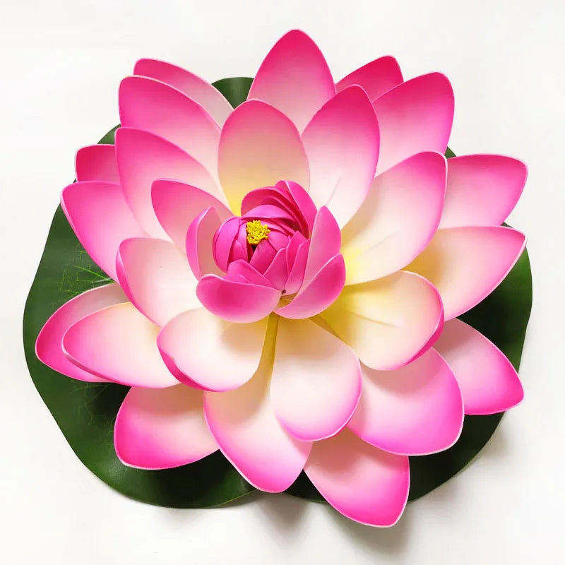 A vibrant pink and yellow lotus flower with green leaves floating on white background.