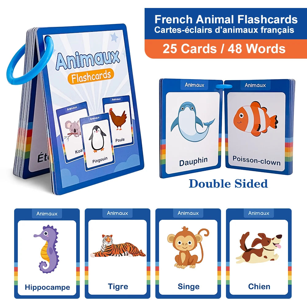 French Vocabulary Flashcards for Kids - Food, Animals, Fruits & Body Parts