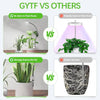 Comparison graphic showing a plant in a pot versus a plant with potential harm to roots and an easily fall-over pot.
