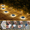 Solar Powered LED Step and Path Lights with Auto On/Off