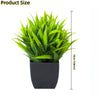 Realistic Mini Eucalyptus Potted Plant with Black Pot