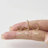 Titanium Double Hoop Nose Ring & Septum Clicker