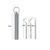 Reusable Stainless Steel Toothpick Set with Portable Case