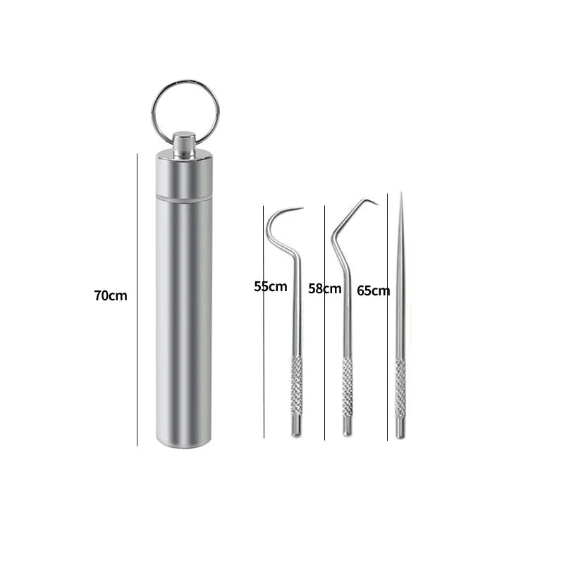 Reusable Stainless Steel Toothpick Set with Portable Case