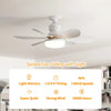 White socket fan ceiling with light featuring light memory, 1/2/4H timing, strong wind, and 50000 hours lifespan