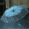 Clear Bloom Folding Umbrella with Floral Print