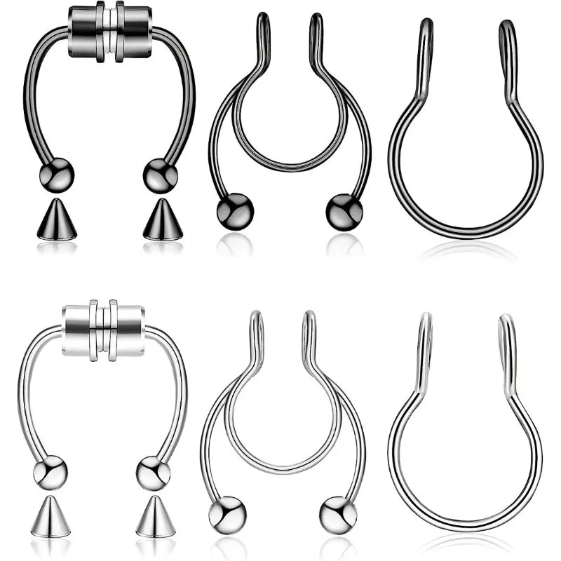 Magnetic Septum Ring Set