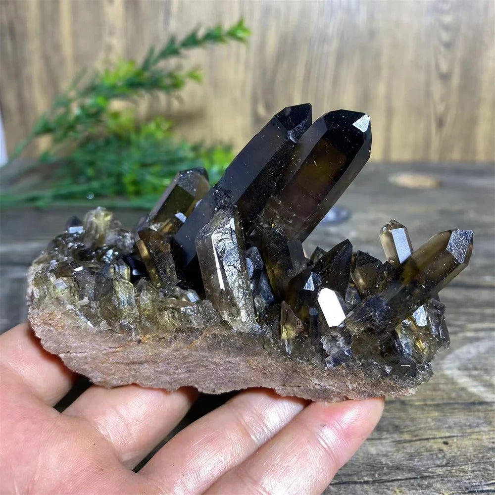 A cluster of dark brown and amber quartz crystals held in a hand on a wooden surface.