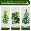 Stackable Natural Plant Support Poles
