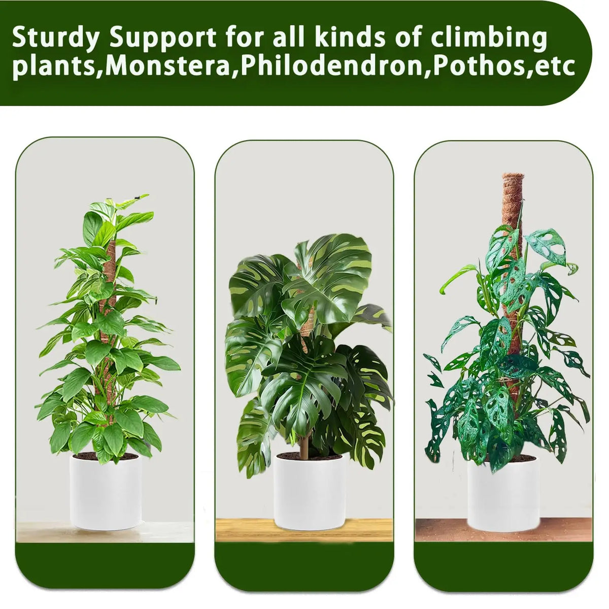 Stackable Natural Plant Support Poles