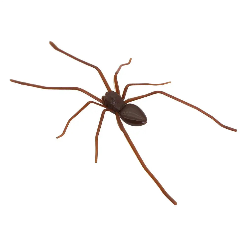 A realistic brown spider used as a fridge magnet for funny prank decor.