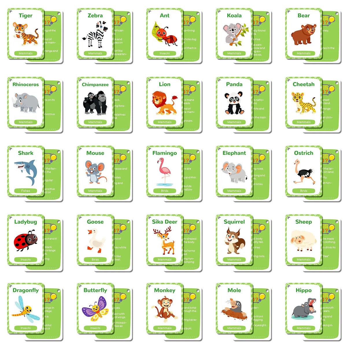 A collection of animal flash cards featuring various animals like tiger, zebra, ant, koala, bear, lion, panda, cheetah, shark