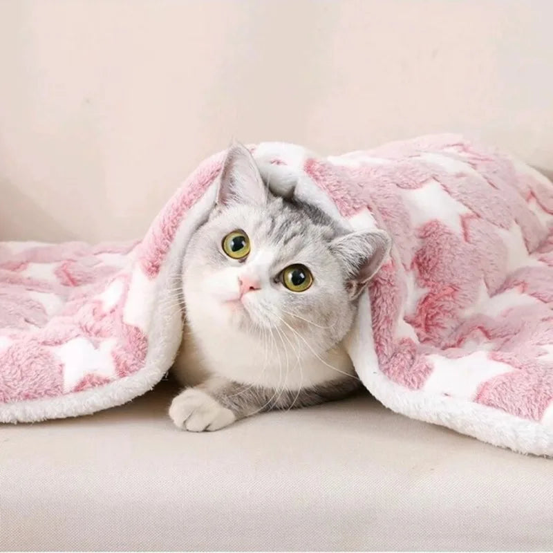 A fluffy gray and white kitten is resting on a pink and white patterned plush mat.