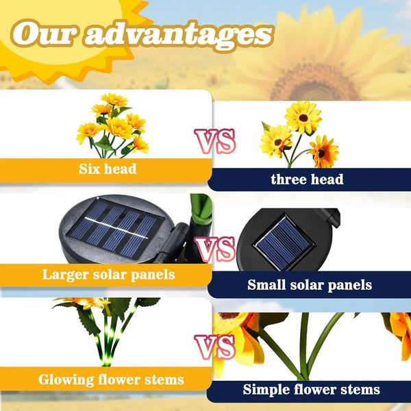 Comparaison des lumières de jardin solaires : six têtes contre trois, plus grande contre plus petite