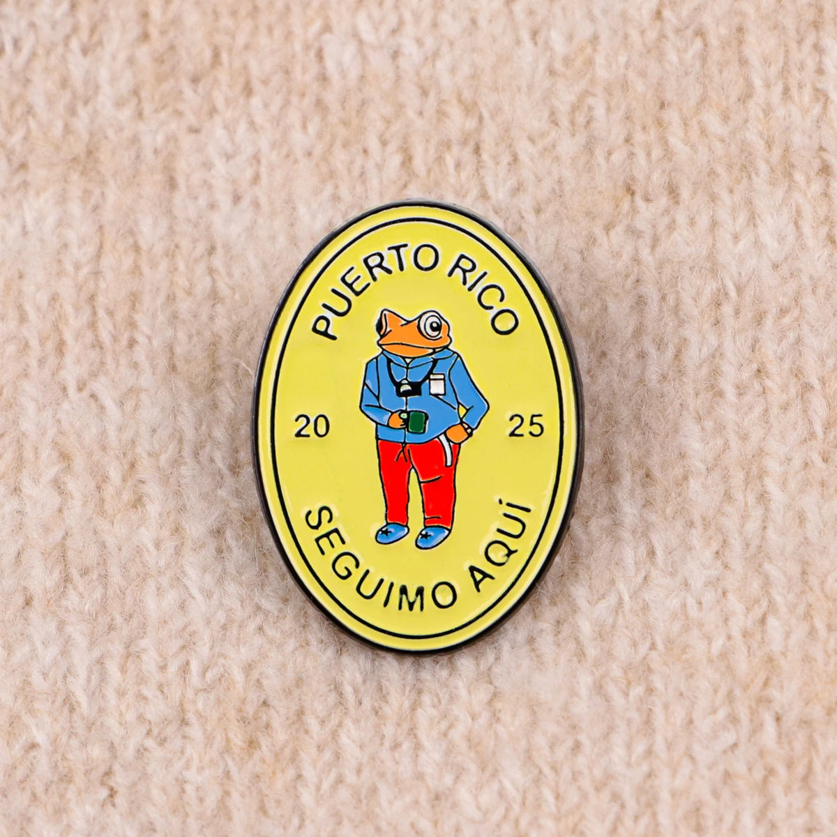 Cute Frog Enamel Pin with Sarcastic Quote