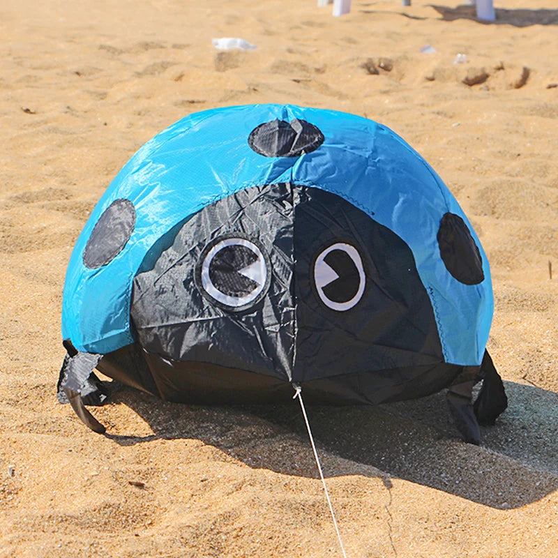 Ladybird Ground Kite for Outdoor Family Fun