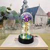 LED Rose Night Light