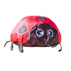 Ladybird Ground Kite for Outdoor Family Fun