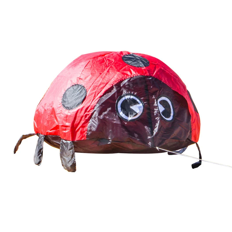 Ladybird Ground Kite for Outdoor Family Fun