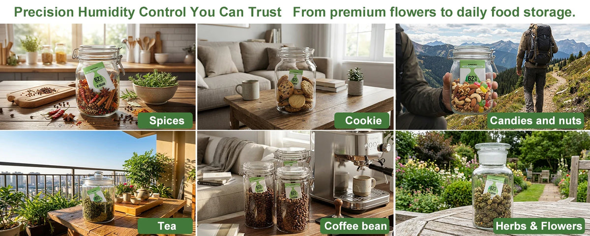 A collection of glass jars filled with spices, cookies, tea, coffee beans, candies and nuts, and herbs and flowers for humidi