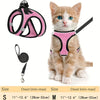 A small orange tabby kitten wearing a pink harness and attached to a black leash.