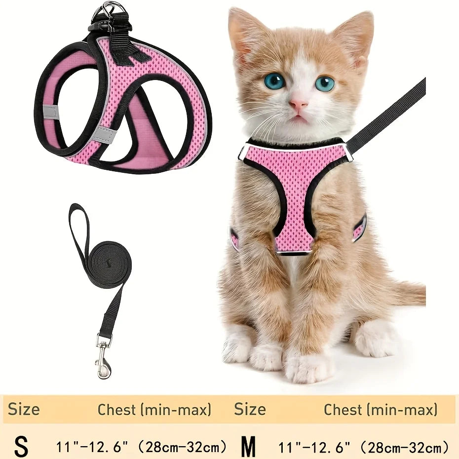 A small orange tabby kitten wearing a pink harness and attached to a black leash.