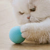 Automatic Rolling Cat Toy Ball