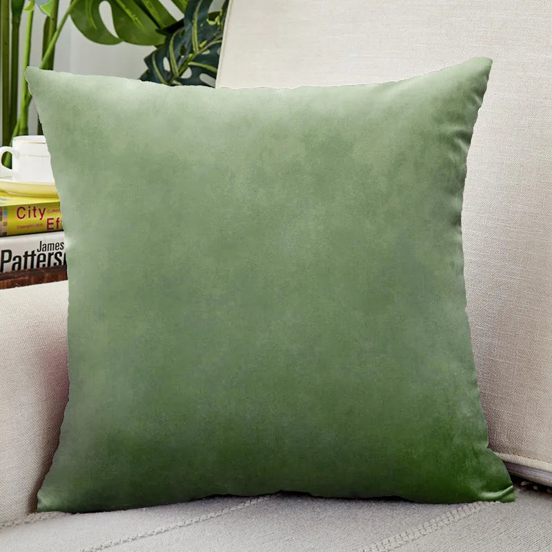 Velvet Throw Pillow Cover for Sofa and Bed Decor