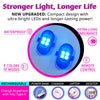 A close-up view of a blue LED light product showing various features like waterproof design and remote control options.