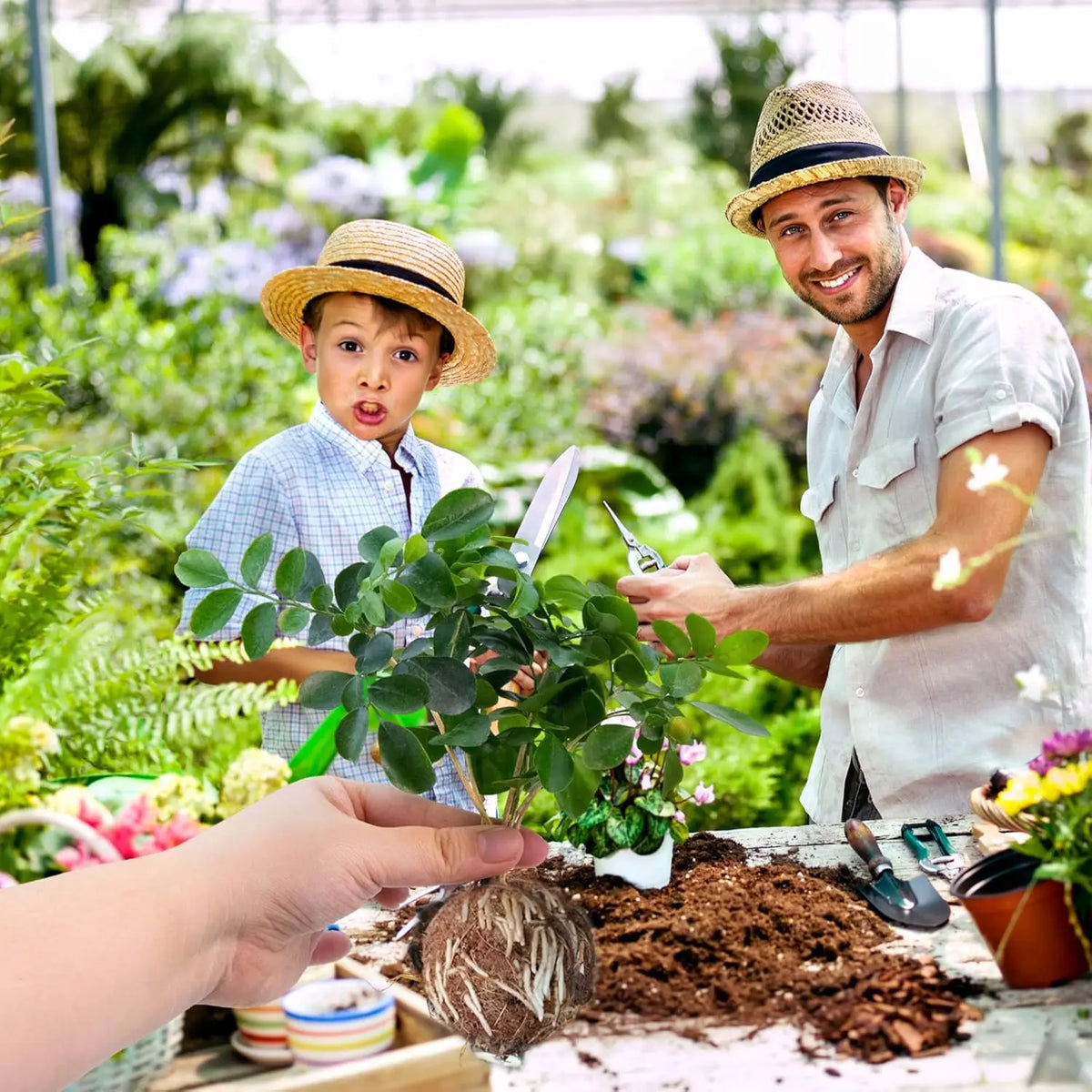 A man and a boy are shown working with a reusable plant rooting ball for air layering propagation.