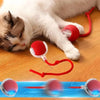 Automatic Interactive Pet Rolling Ball Toy