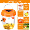 Solar-Powered Outdoor Insect Trap