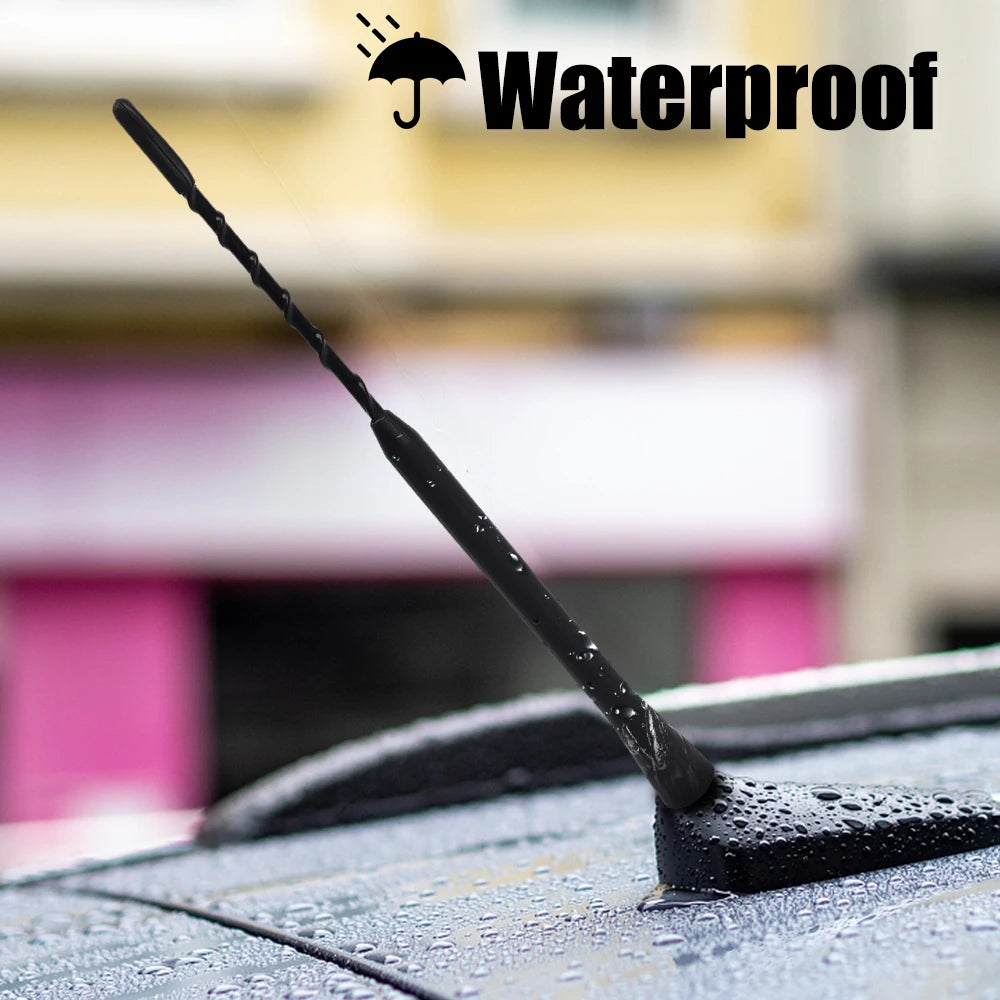 Compact Black Car Radio Antenna with Adapter Screws