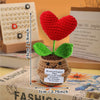 Handmade Crochet Pocket Hug Doll with Custom Message