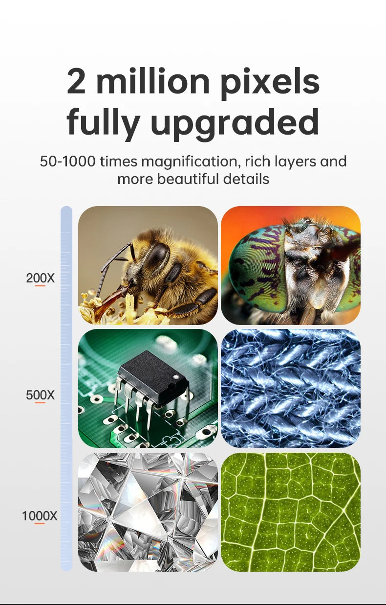 A digital microscope display showing magnified details of a bee, a leaf, and various textures at different zoom levels.