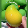 Color-Changing Mango Stress Ball