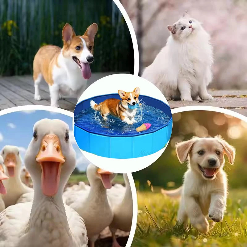 Foldable Pet Pool for Dogs & Cats