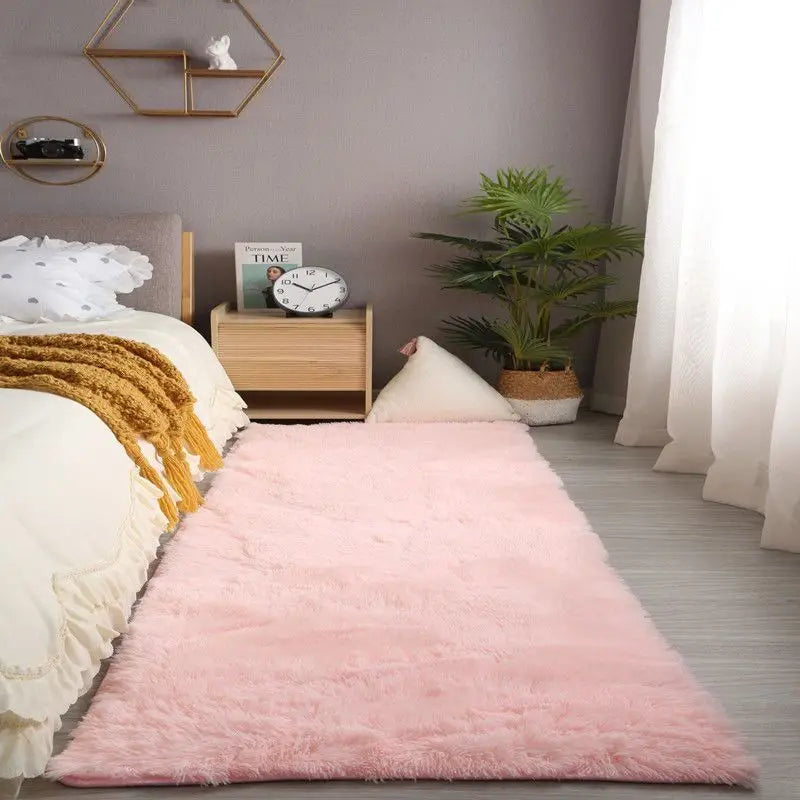 Plush Shaggy Area Rug for Living Room & Bedroom