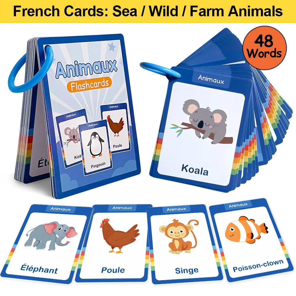 French Vocabulary Flashcards for Kids - Food, Animals, Fruits & Body Parts