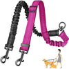 Dual Dog Leash with Shock-Absorbing Bungee