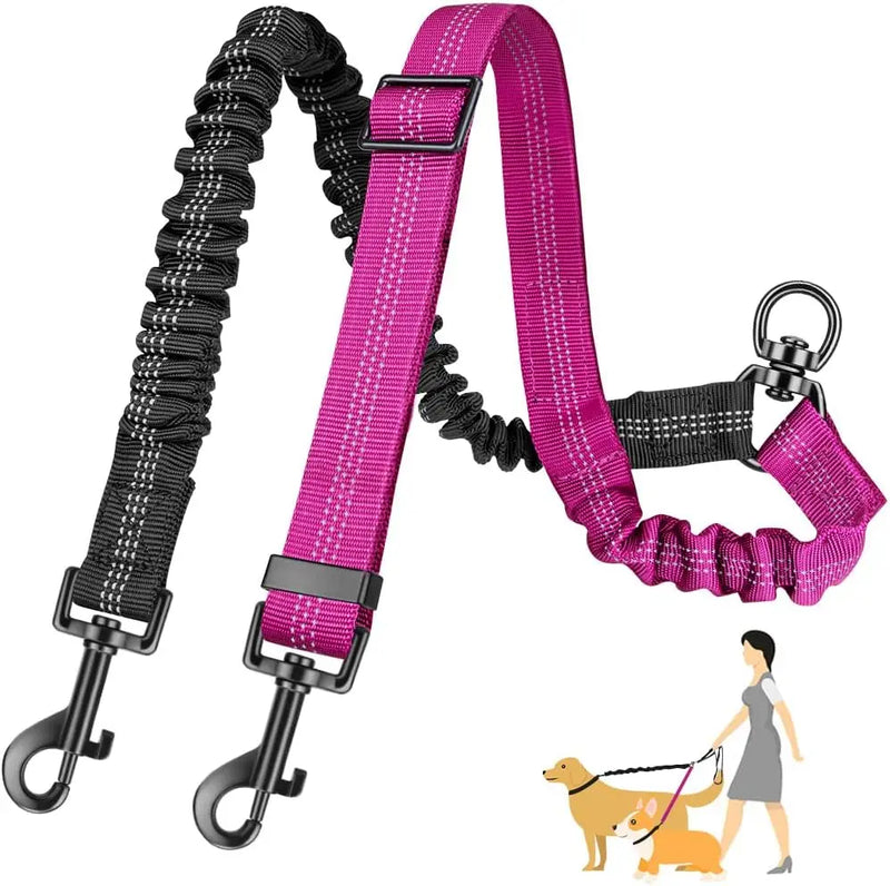 Dual Dog Leash with Shock-Absorbing Bungee