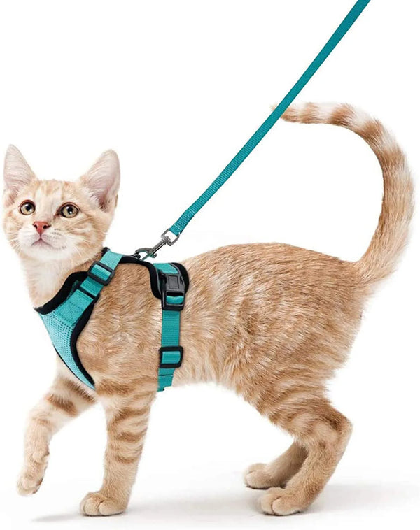 Ausbruchssicheres weiches Katzen-Geschirr und Leinen-Set