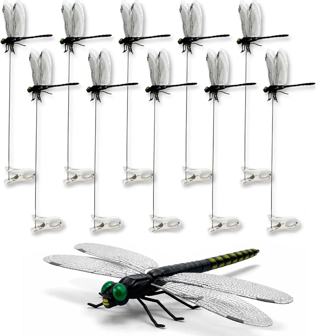 Realistic Dragonfly Clips for Decoration