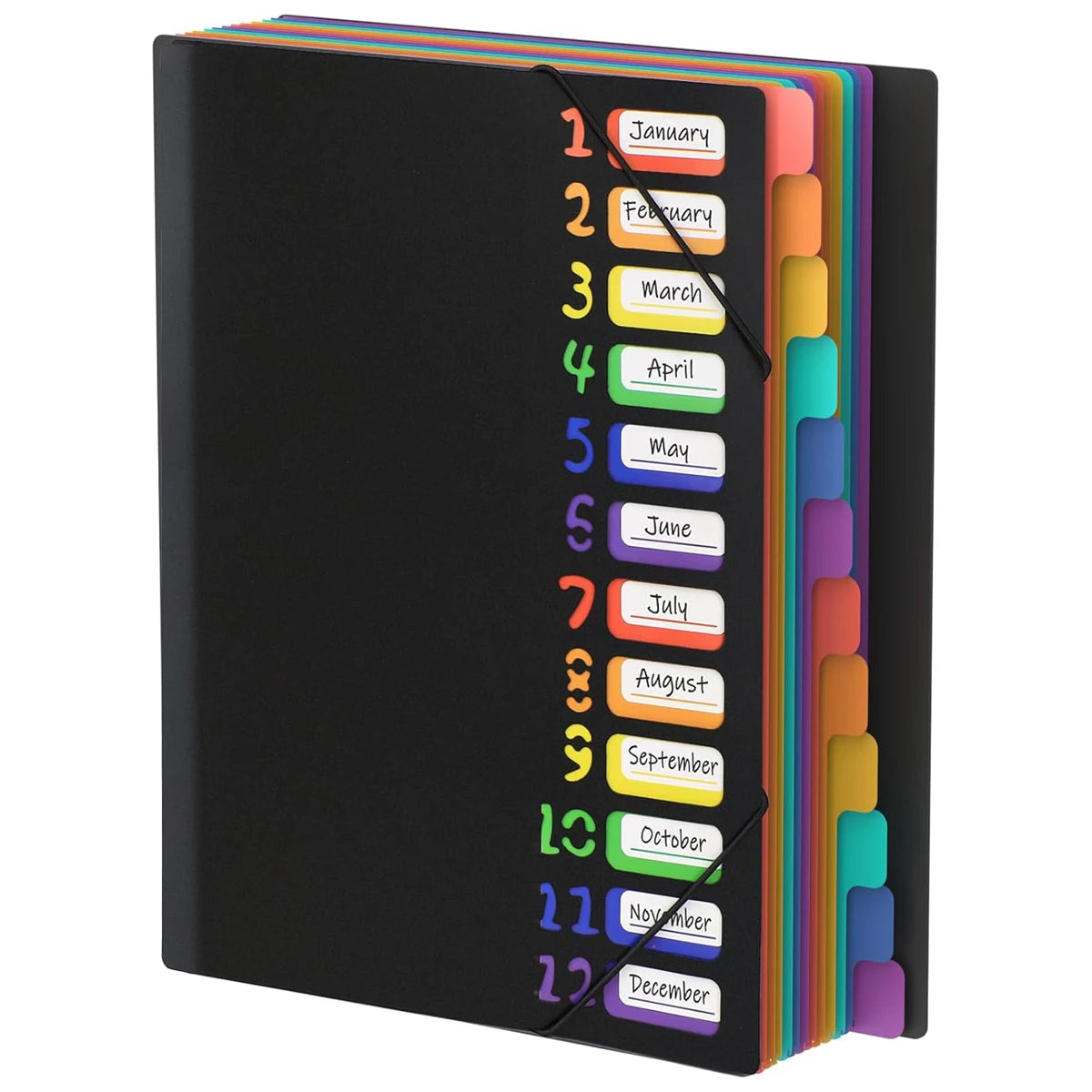 A4 File Organizer with Monthly Dividers and Color-Coded Tabs