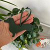 PU Leather Dachshund & Bulldog Keychain