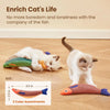 Interactive Fish Catnip Plush Toy with Squeaker