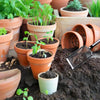 A set of terracotta pots and soil sieves for gardening, showing various plants and potting materials.