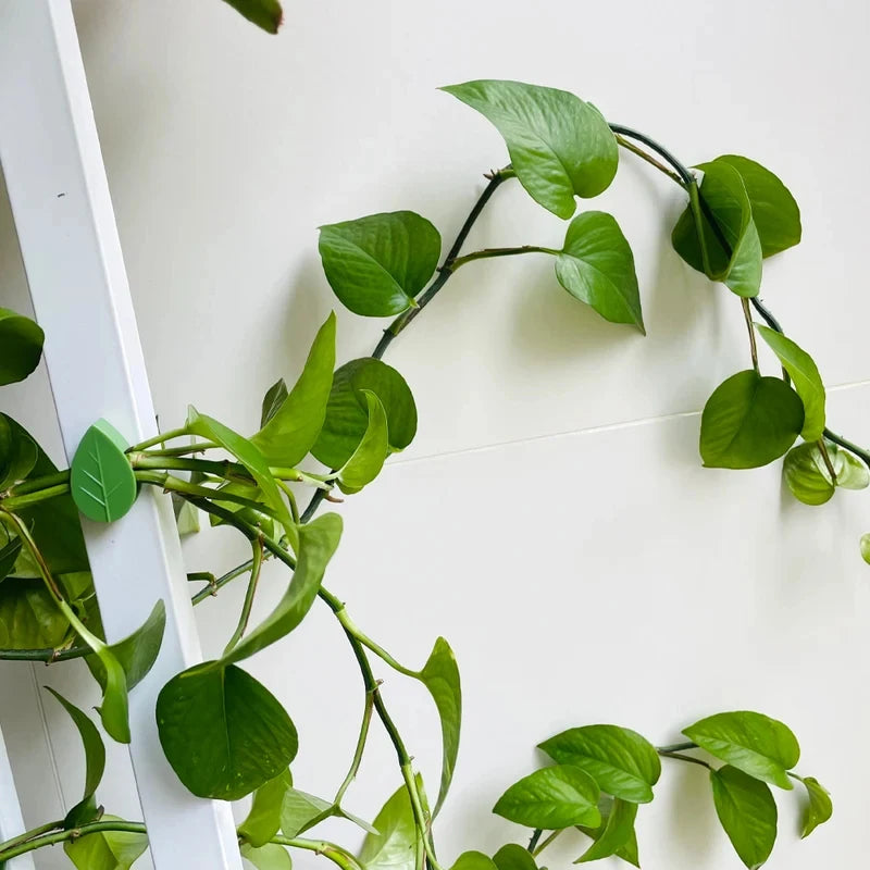 Self-Adhesive Leaf-Shaped Plant Climbing Clips